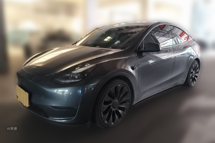 Tesla Model Y 2022 car image #2