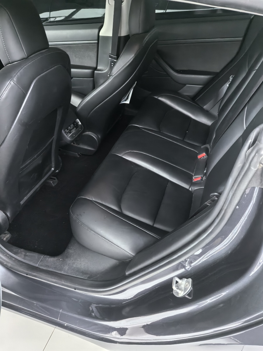 Tesla Model 3 2020 car image #5