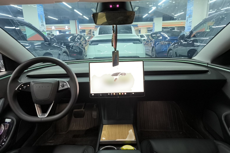 Tesla Model 3 2024 car image #10