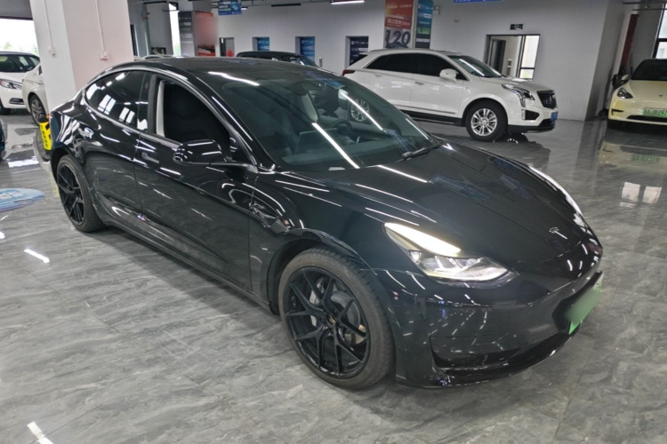 Tesla Model 3 2021 car image #4