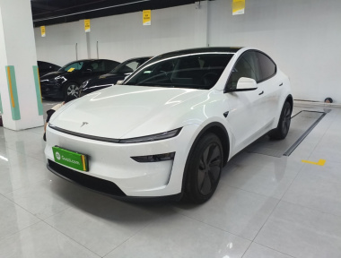 Tesla Model Y 2025 car image 