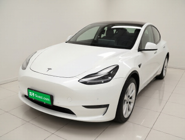 Tesla Model Y 2022 car image 