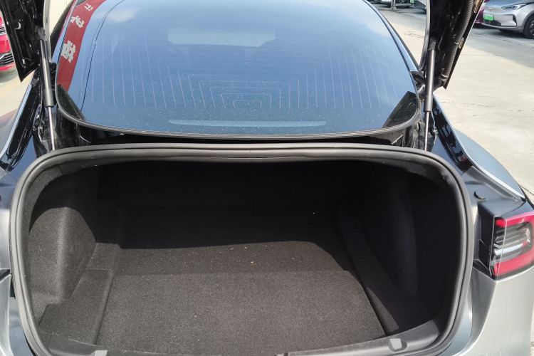 Tesla Model 3 2020 car image #19