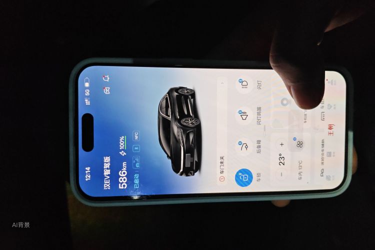 比亚迪 汉 2025 汽车图片 #10