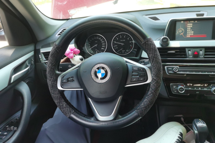 BMW X1 2017 car image #12