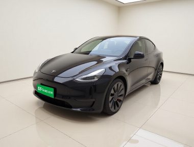 Tesla Model Y 2023 car image 