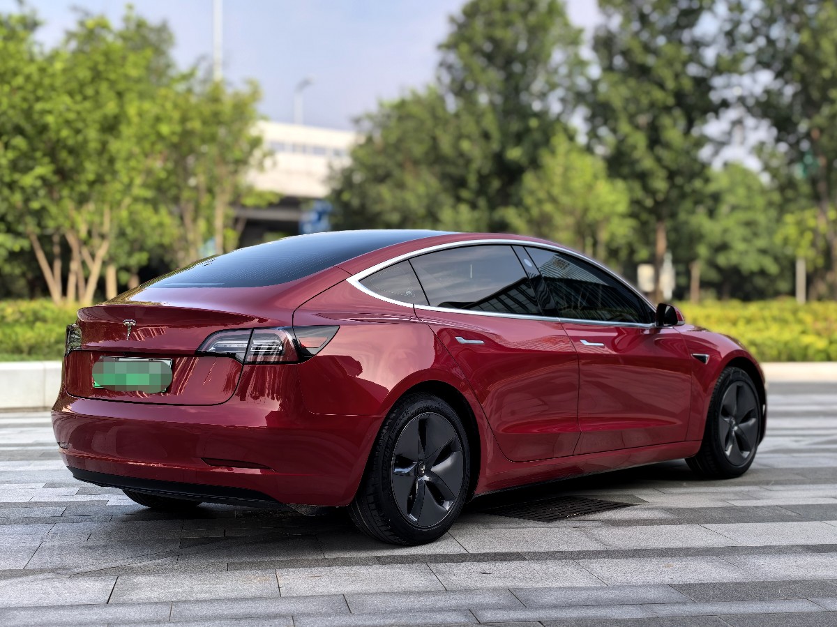 Tesla Model 3 2020 #3 Tesla Model 3 2020 car image #3