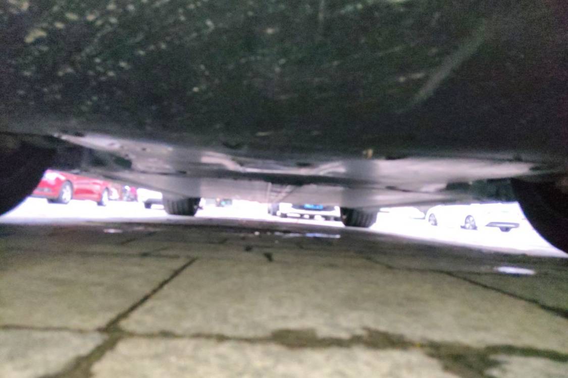 Tesla Model Y 2025 immagine di auto #13