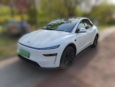 Tesla Model Y 2025 car image 