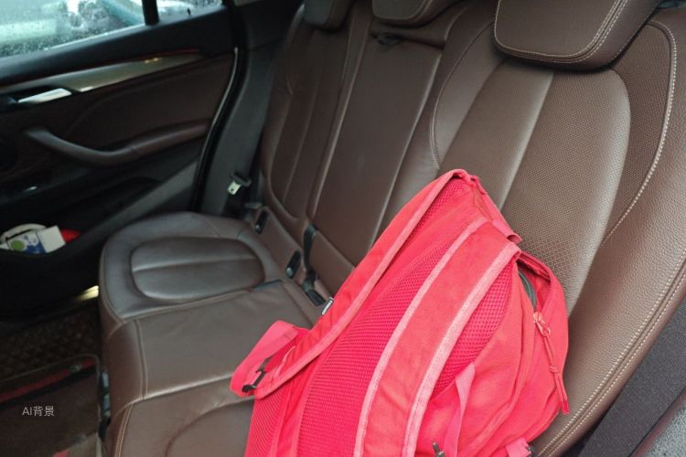 BMW X1 2019 car image #19