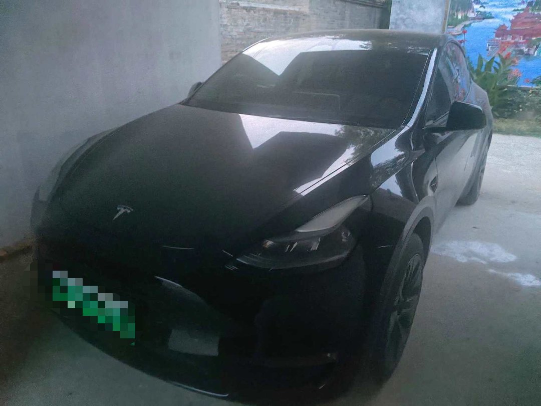 Tesla Model Y 2024 Tesla Model Y 2024 car image