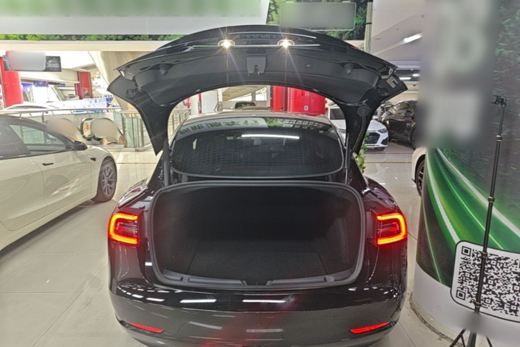 Tesla Model 3 2021 #19 Tesla Model 3 2021 car image #19