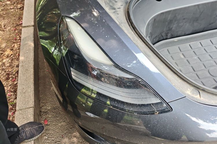 Tesla Model 3 2021 #8 Tesla Model 3 2021 car image #8