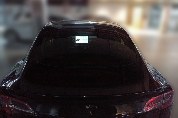 Tesla Model 3 2020 car image #6