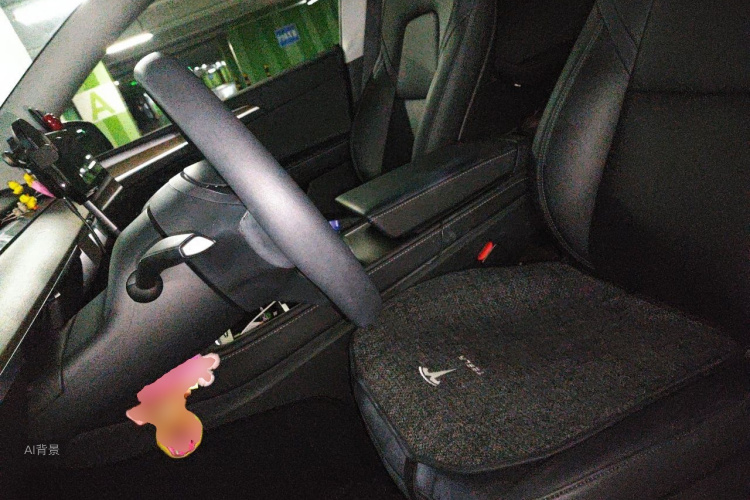 Tesla Model Y 2022 car image #17