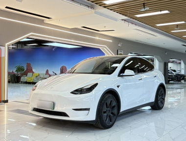 Tesla Model Y 2023 Tesla Model Y 2023 car image