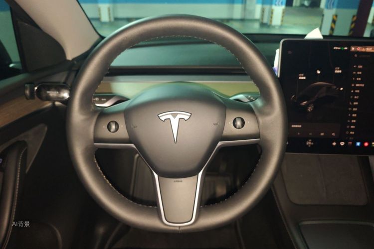Tesla Model Y 2023 car image #12