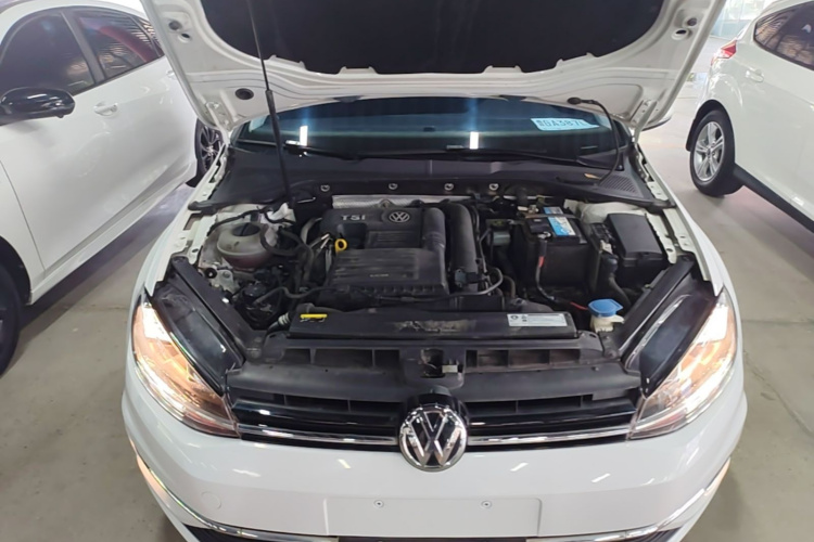 Volkswagen Golf 2019 car image #20