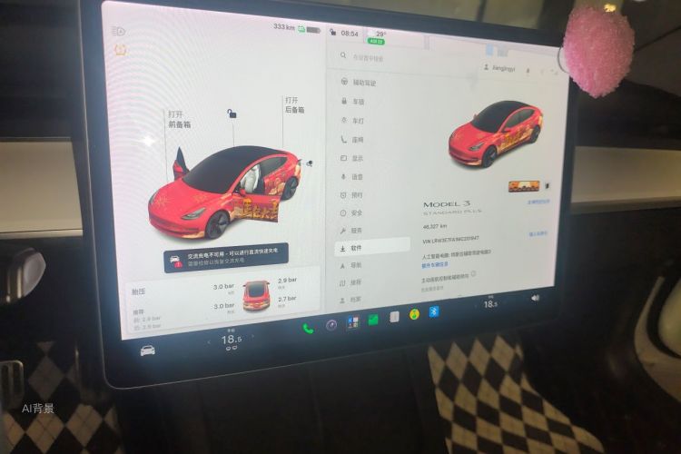 Tesla Model 3 2021 immagine di auto #15