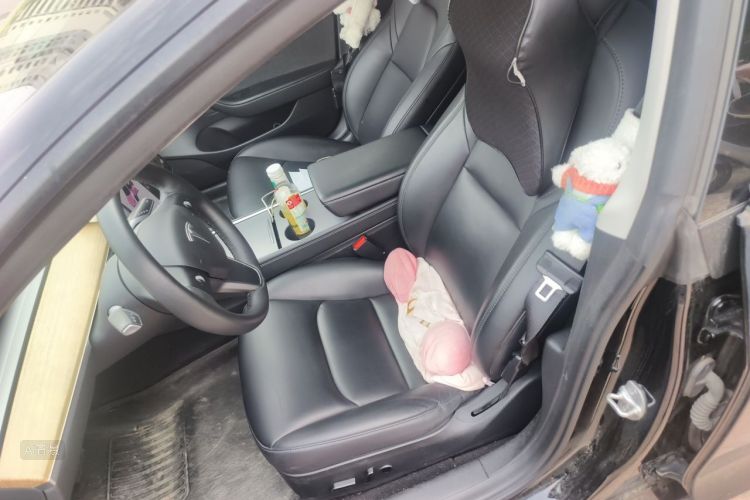 Tesla Model 3 2021 car image #17