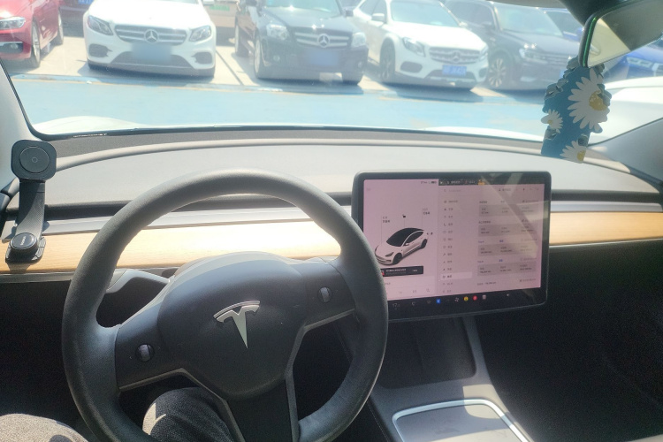 Tesla Model 3 2021 #10 Tesla Model 3 2021 car image #10