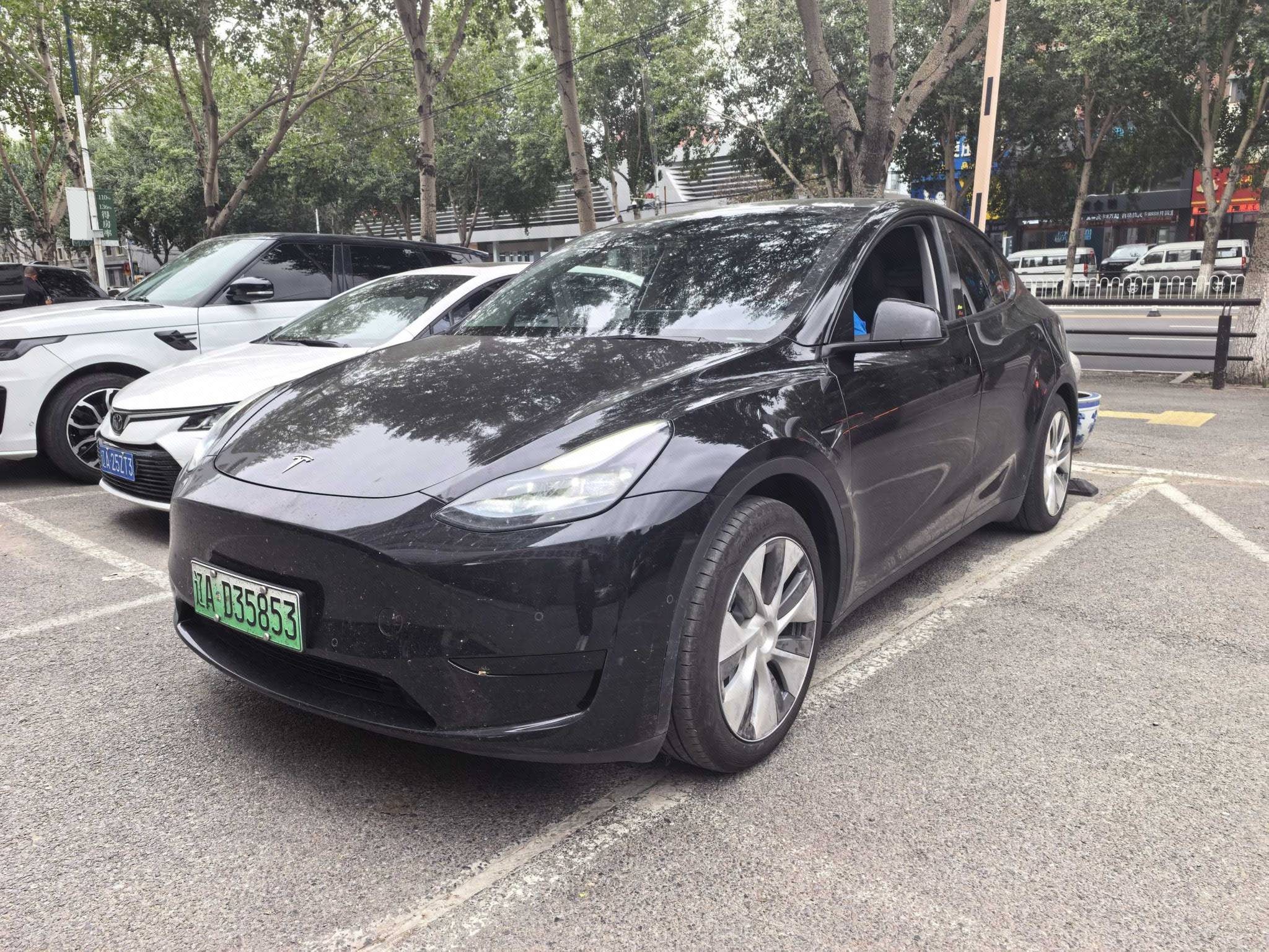 Tesla Model Y 2023 car image 