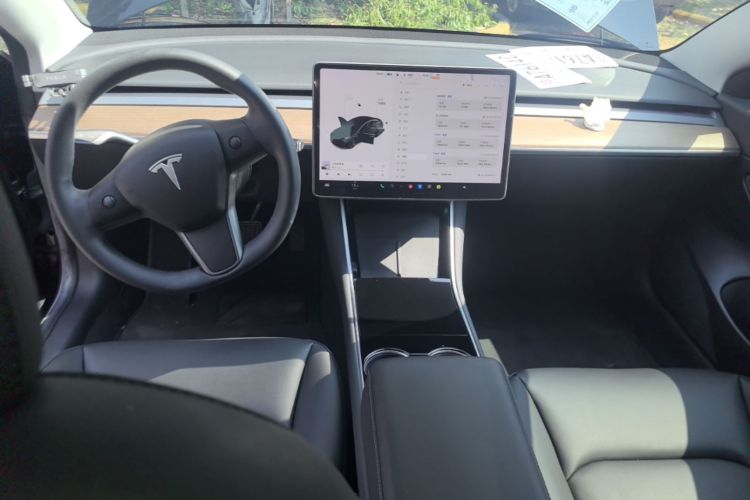 Tesla Model 3 2020 car image #10
