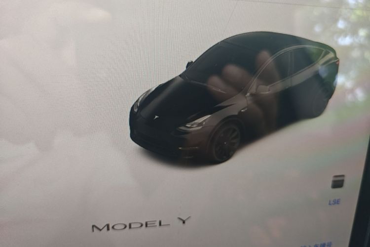 Tesla Model Y 2022 #12 Tesla Model Y 2022 car image #12