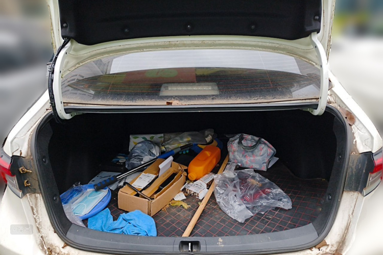 Toyota Corolla 2019 car image #21