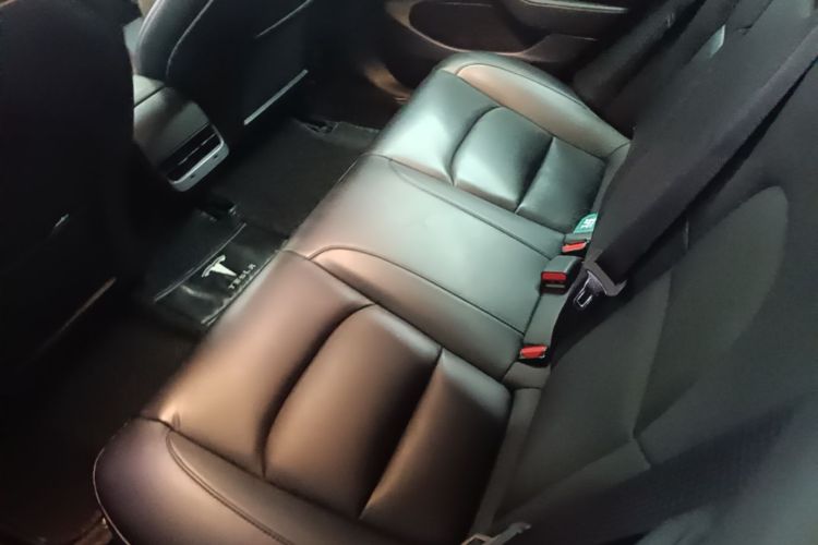 Tesla Model 3 2020 car image #17
