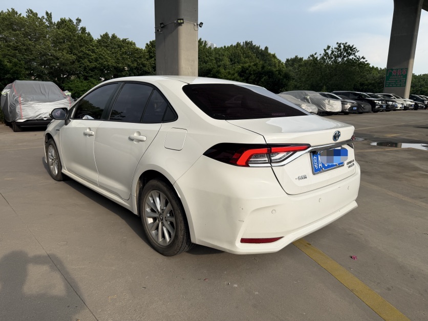 Toyota Corolla 2019 car image #5