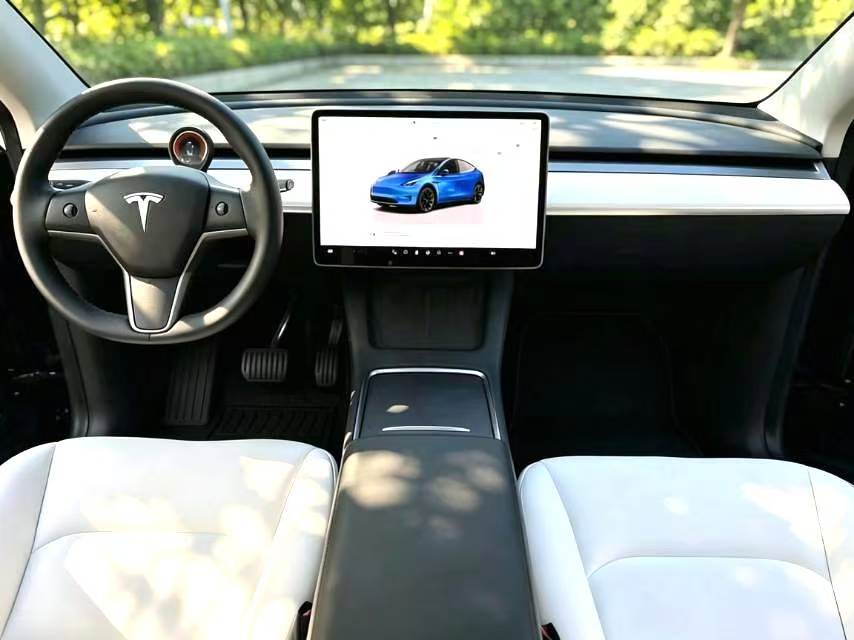 Tesla Model Y 2022 #9 Tesla Model Y 2022 car image #9