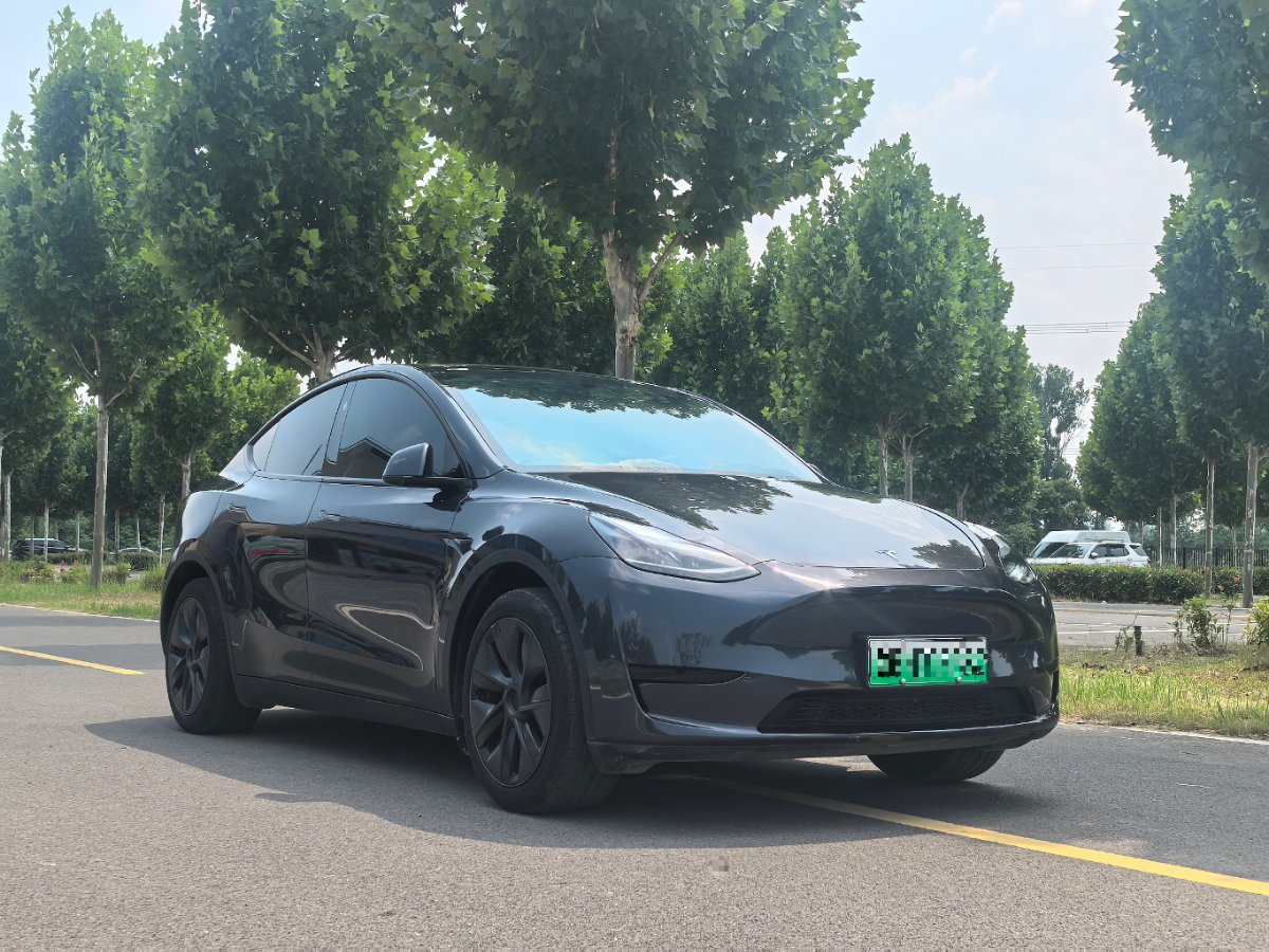 Tesla Model Y 2024 #3 Tesla Model Y 2024 car image #3