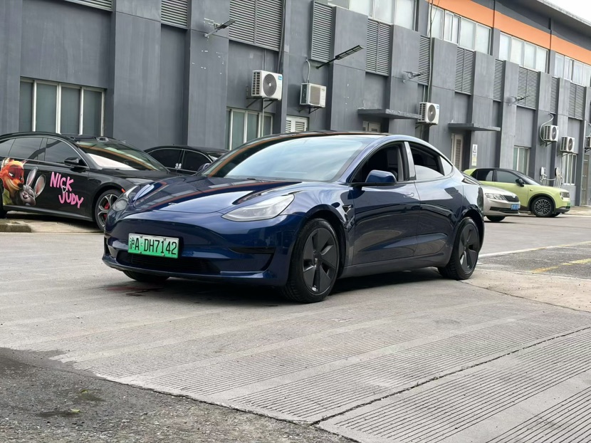Tesla Model 3 2021 immagine di auto 
