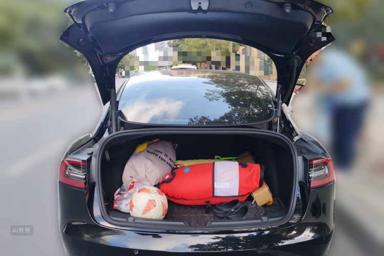 Tesla Model 3 2021 #21 Tesla Model 3 2021 car image #21