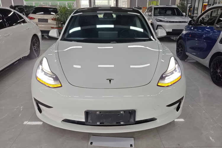 Tesla Model 3 2020 #3 Tesla Model 3 2020 car image #3