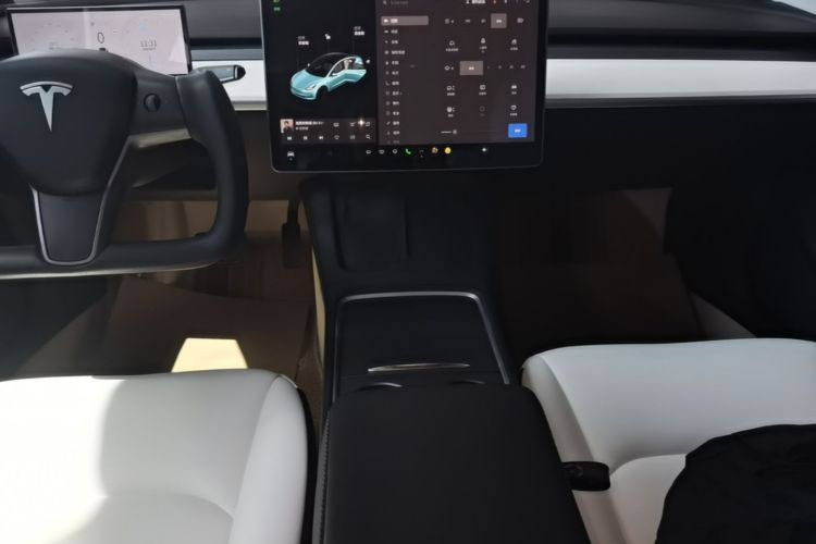 Tesla Model 3 2021 #13 Tesla Model 3 2021 car image #13