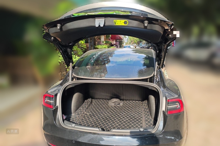 Tesla Model 3 2022 car image #21