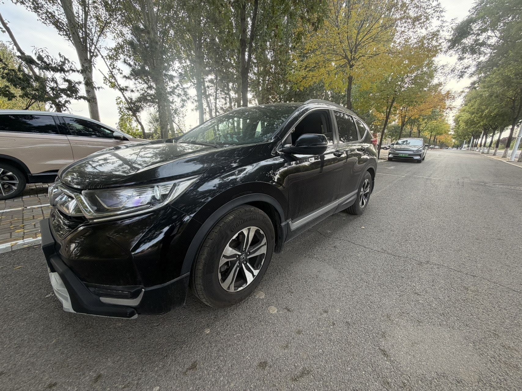 Honda CR-V 2019 Honda CR-V 2019 изображение автомобиля