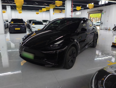 Tesla Model Y 2023 car image 