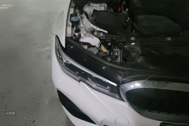 BMW 3 Series 2021 car image #8