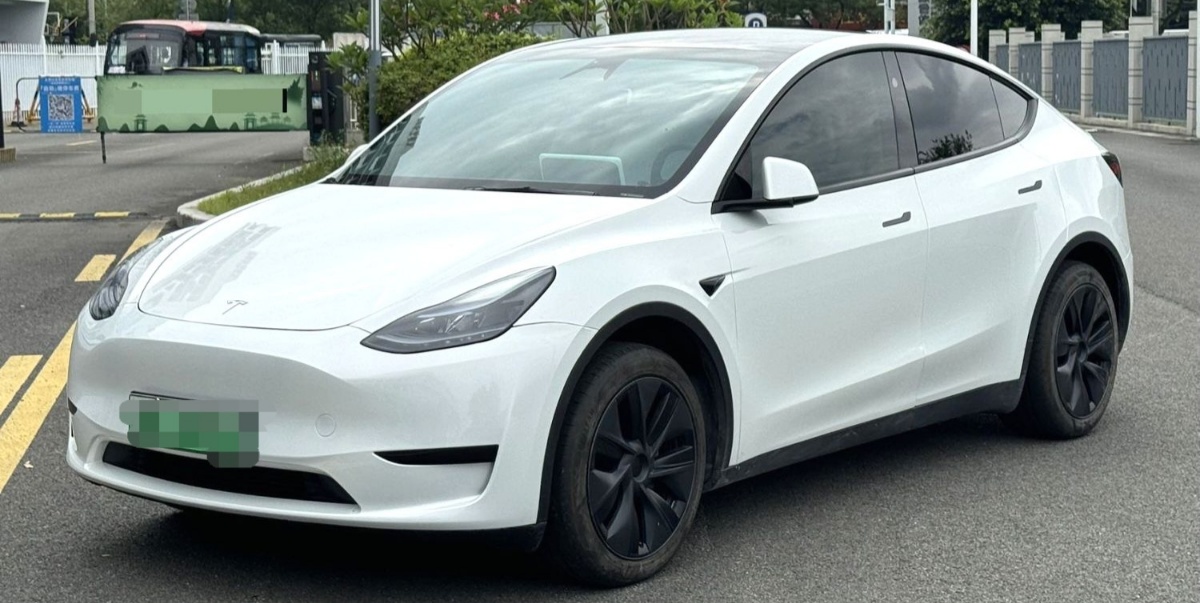 Tesla Model Y 2024 car image 