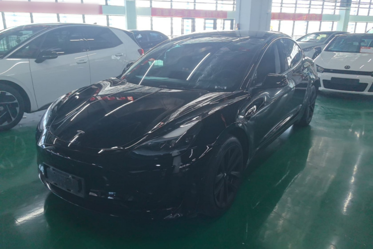Tesla Model 3 2023 imagem de carro #2