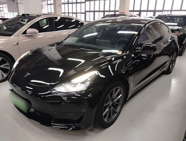 Tesla Model 3 2021 Tesla Model 3 2021 car image