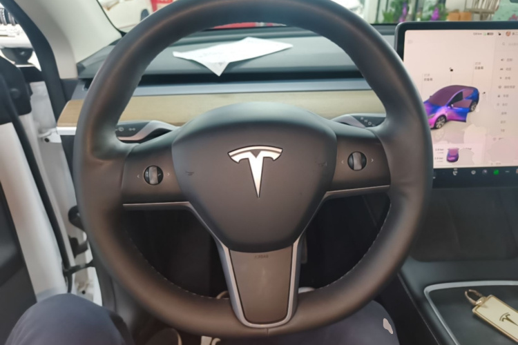 Tesla Model Y 2022 car image #15