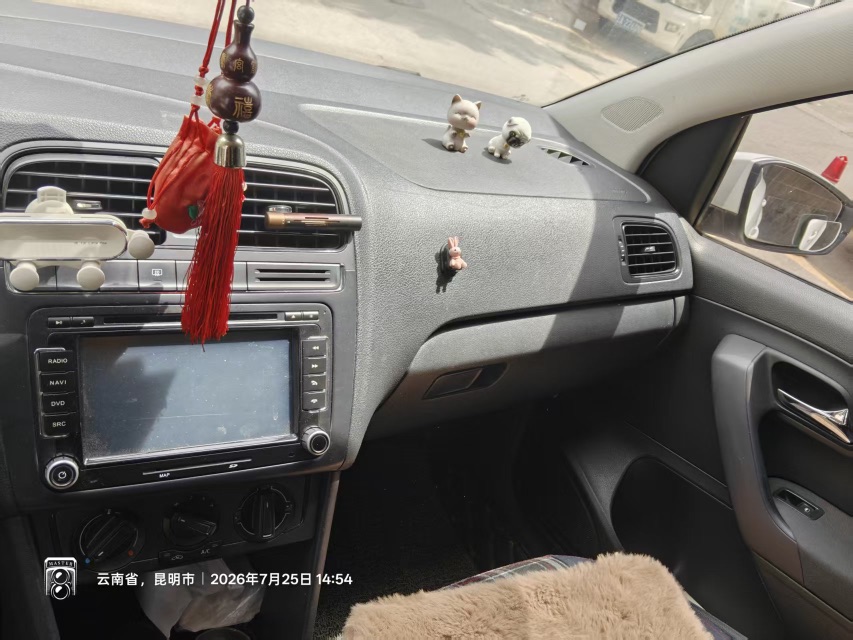 Volkswagen Polo 2014 car image #8