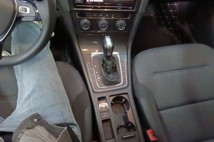 Volkswagen Golf 2019 car image #14