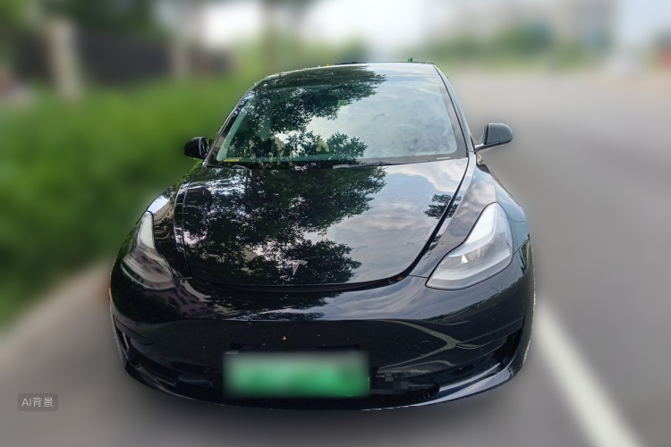 Tesla Model 3 2021 #3 Tesla Model 3 2021 car image #3