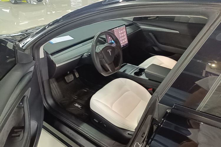 Tesla Model 3 2022 immagine di auto #12