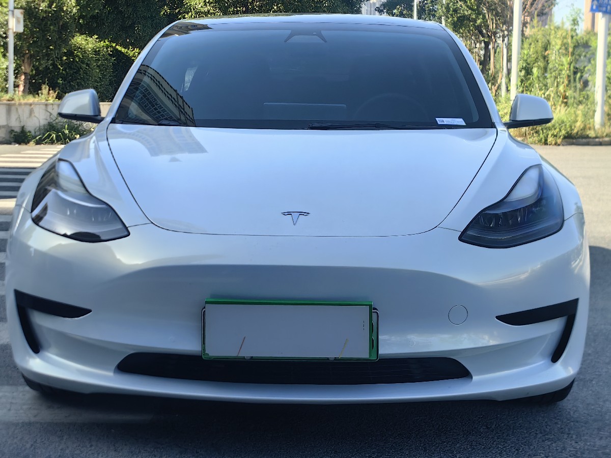 Tesla Model 3 2021 #2 Tesla Model 3 2021 car image #2